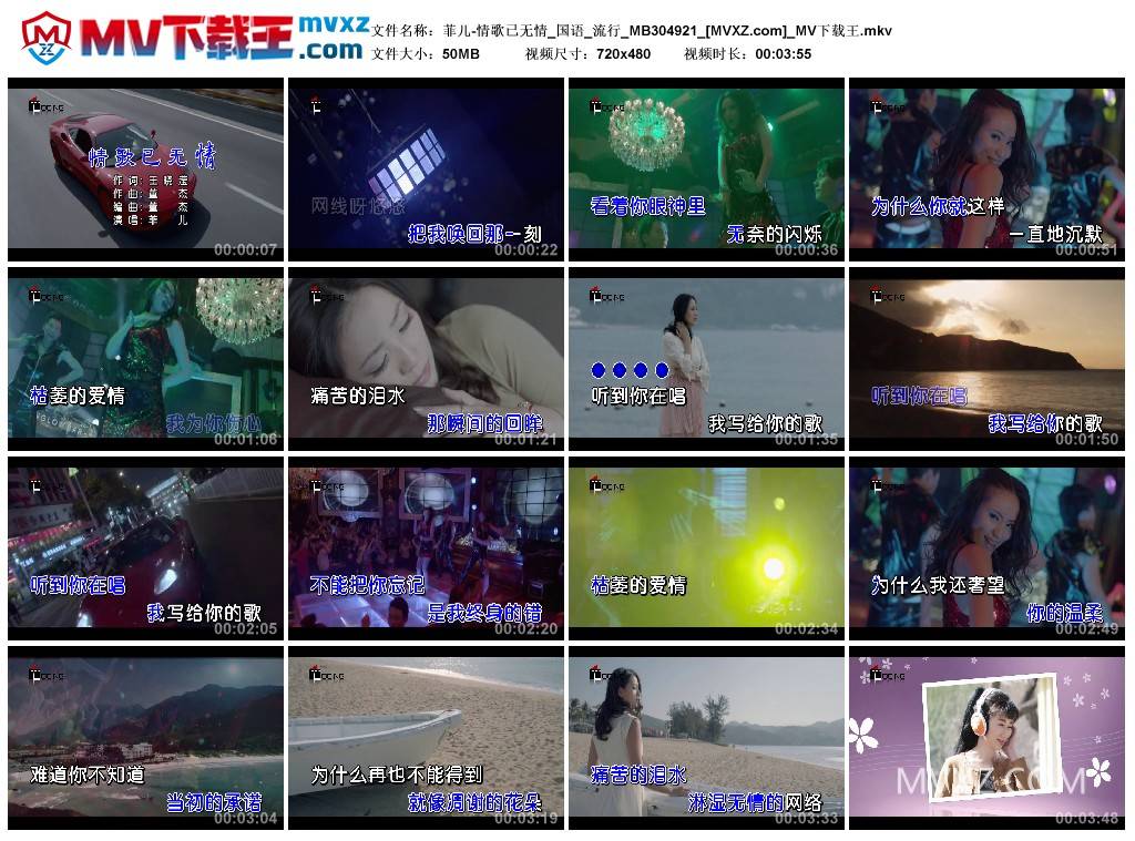 菲儿-情歌已无情_国语_流行_MB304921